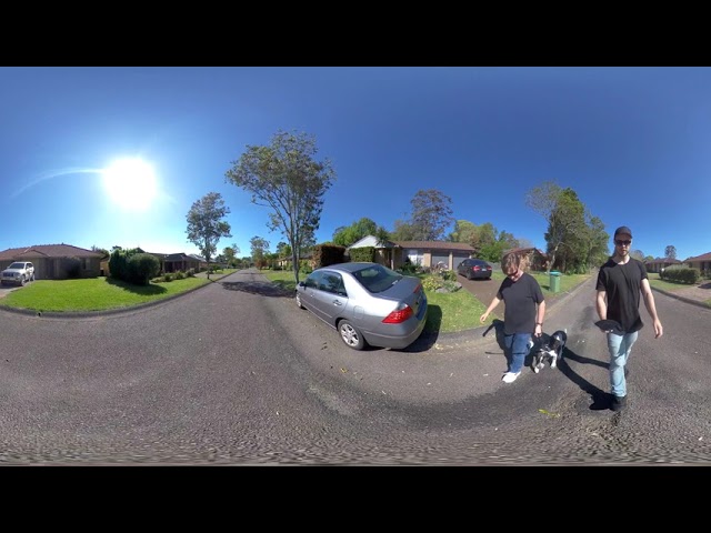 Walking the dog - 360 video