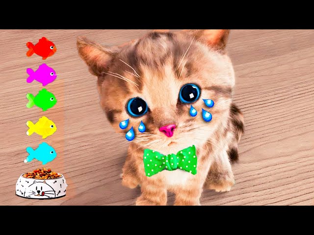 PLAYFUL LITTLE KITTEN ADVENTURE - FUN WITH CUTE KITTY AND ANIMAL FRIENDS