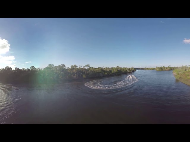 Seadoo in Swamp