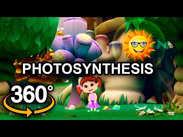 PHOTOSYNTHESIS! 360° VR Remote Learning! Biology for children! Cartoon for kids! Arya's School!