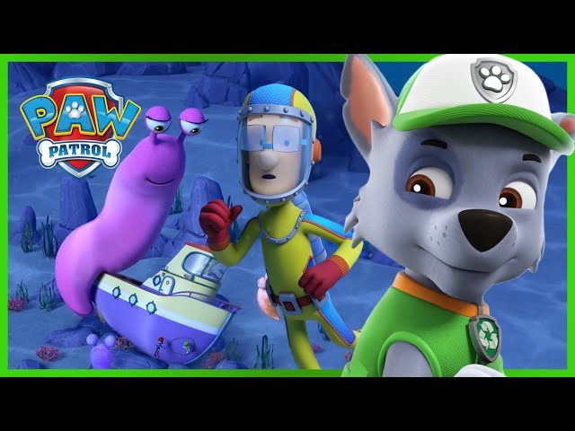 Pups Save a Disappearing Flounder! - PAW Patrol Episode - Cartoons for Kids