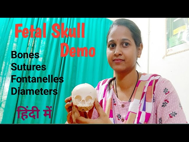 The fetal Skull /Bone/Sutures/Fontanelles/Diameters/ full explanation in hindi