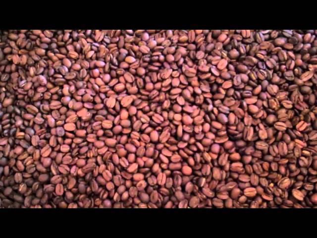 Colombia Excelso Fresh Roasted Coffee Bean Description