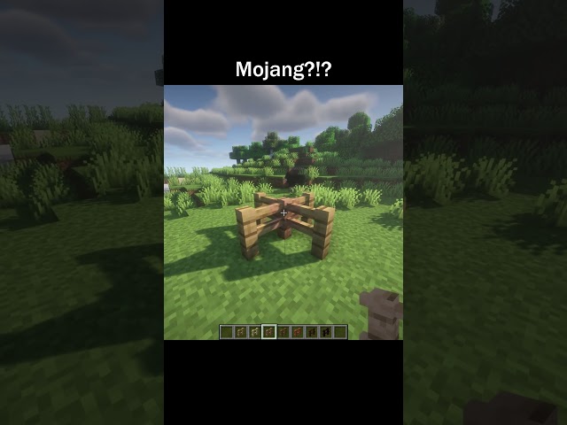 Minecraft: Mojang?!?