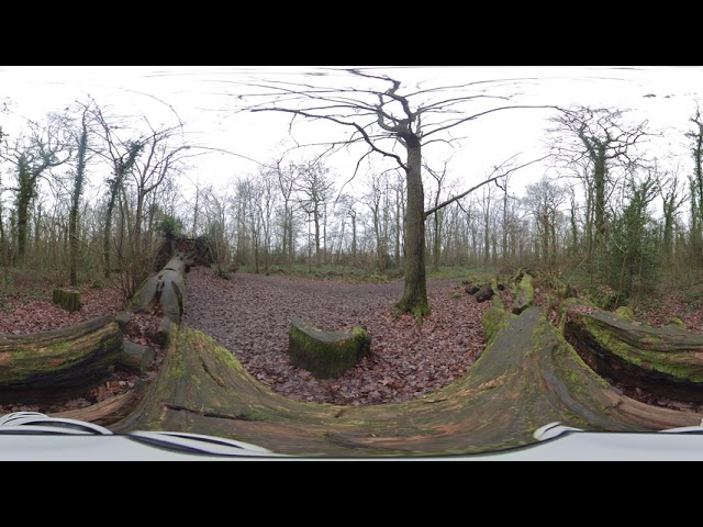 Clayfield Copse - Insta 360 ONE X - No Post Processing