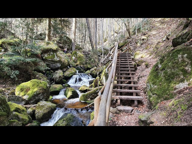 Bike & Hike Ysperklamm Strecke 2. Teil (Wanderung)