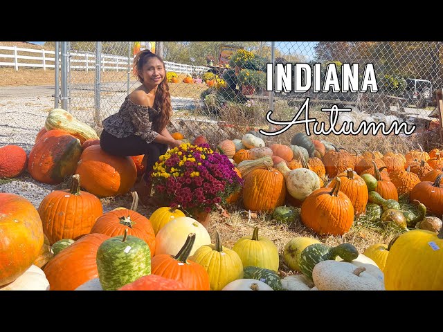 Fun Things To Do in Indiana Autumn - Corn Maze & Pumpkin Patch #explore