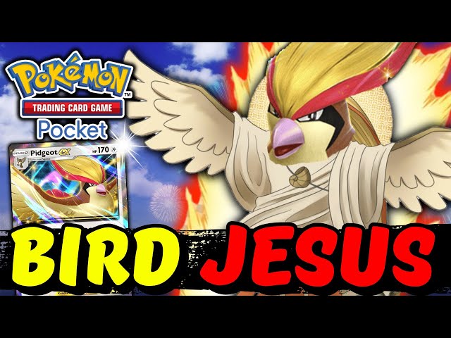 BIRD JESUS RETURNS! PIDGEOT EX SWEEPS ALL! | Pokemon TCG Pocket