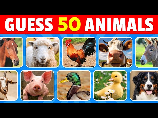 Guess 50 Farm Animals in 3 Seconds 🐮🐷🐴 | Easy, Medium, Hard, Impossible