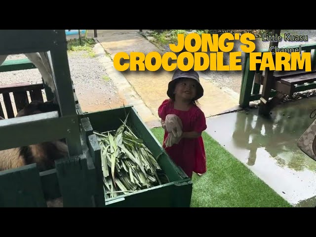 Jalan Jalan ke Jong's Crocodile Farm | Jong's Crocodile Farm, Sarawak