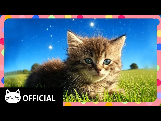 Twinkle Twinkle Little Cat | Music to Soothe Your Soul 🎶