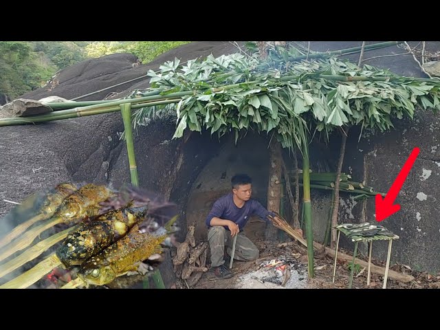 48 HOURS SURVIVING IN THE FOREST TO MAKE A SHIELD IN THE RAIN AND FIND FOOD