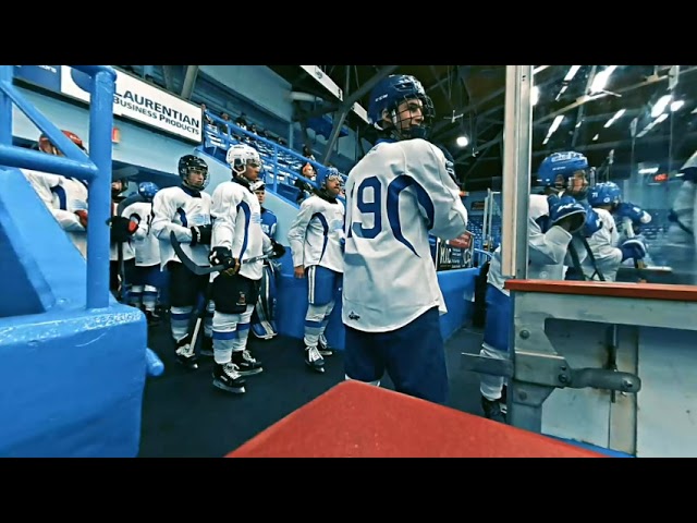 Wolves getting on ice