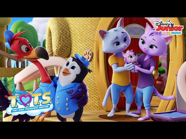 Theme Song 🎶 | T.O.T.S.  | Disney Junior