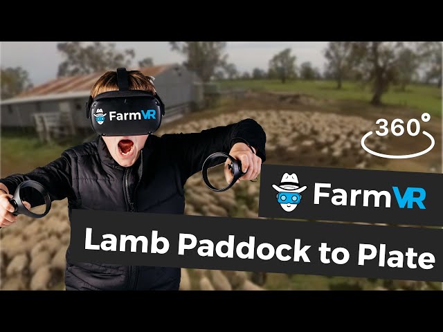 Lamb Paddock to Plate Story - FarmVR Virtual Reality Farming Experiences