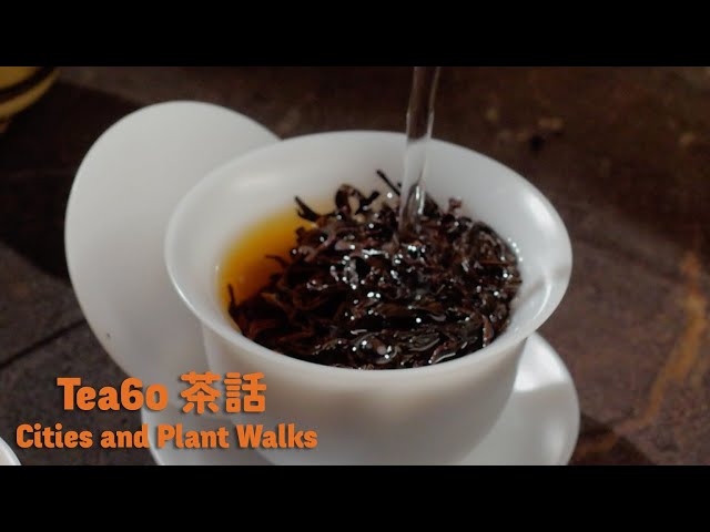 Tea60 茶話 - Cities and Plant Walks