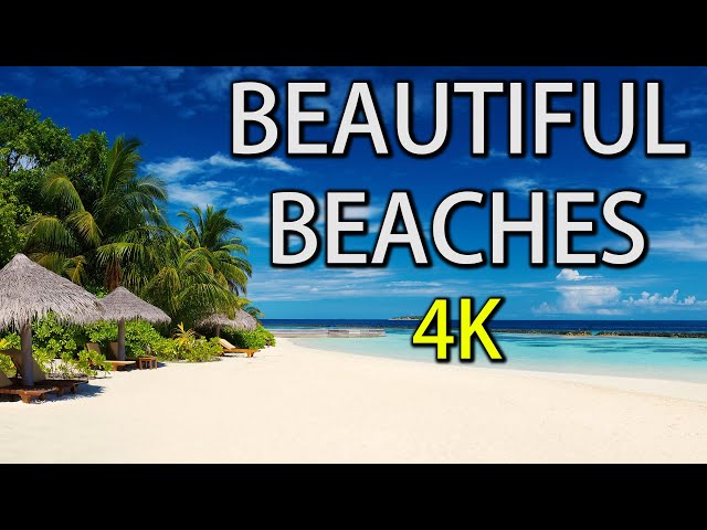 Beautiful Beach Footages in 4K | Amazing Nature Videos | Royalty Free Videos | Drone Footages