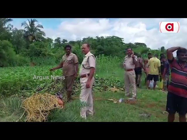 Crocodile Captured By Forest Department Officials In Kendrapara