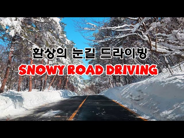 CC 4K Fantastic Snow Road Driving through 1100 Road Jeju Island