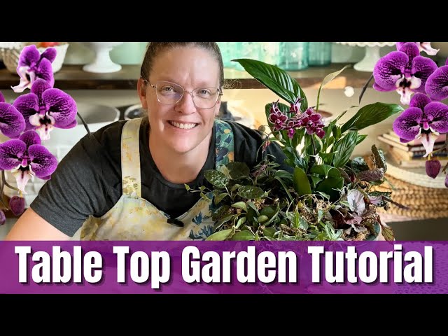 🪴How to Create a Tabletop Garden🌿| Best Plants, Soil Tips & Care Guide | She’s A Mad Gardener