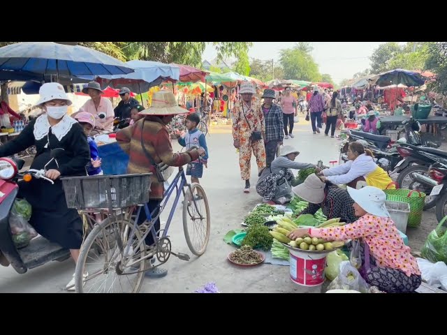 Why I Never Want To Leave Cambodian Market ~ Organic & Fresh Food With Cheapest