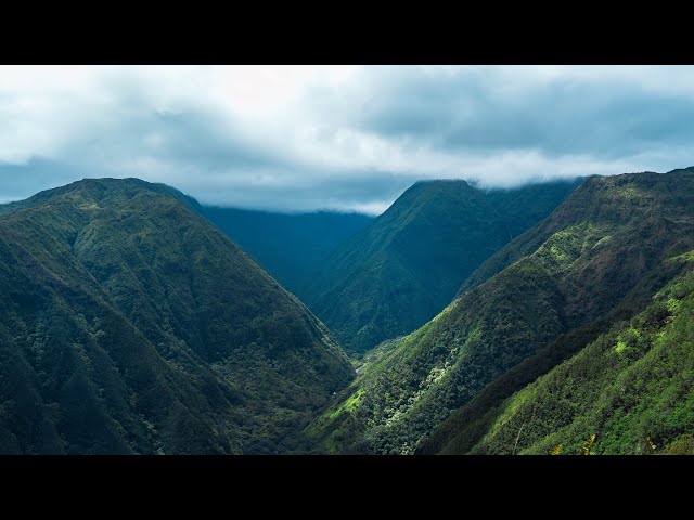 360 VR Hiking up Waihe'e Ridge Trail, Maui, Hawai'i, USA (part 1)