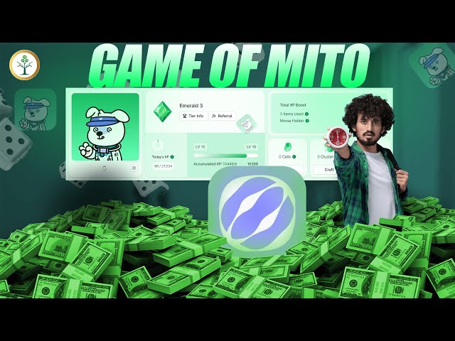 Level Up on Mitosis Testnet: Go From Level 1 to Level 10 in 24 Hours