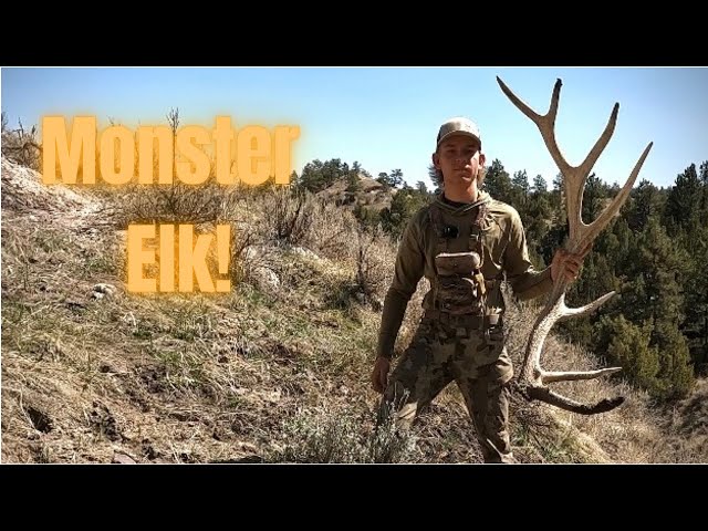 Searching for Montana Elk Sheds!