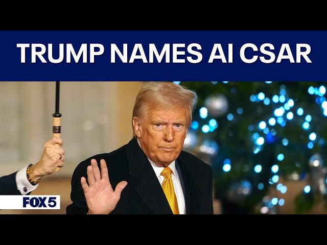 Trump names David Sacks as Crypto and AI czar