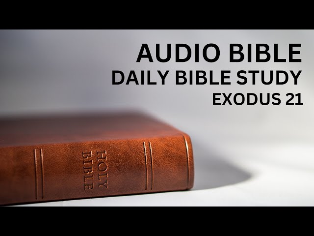 Daily Bible Study: Book of Exodus:Chapter 21:The Laws Concerning Servants, Violence & Animal Control