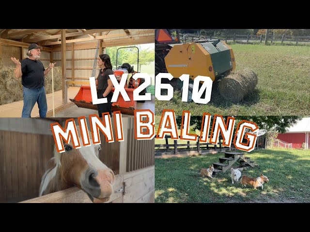 Kubota in the Field: Mini Baling with Terry and his Kubota LX2610