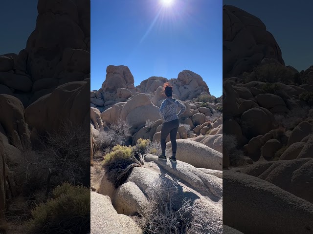 Outdoor Therapy in Joshua Tree National Park