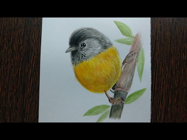 Watercolour painting | for beginners | little bird | #painting #watercolorpainting  #easypainting