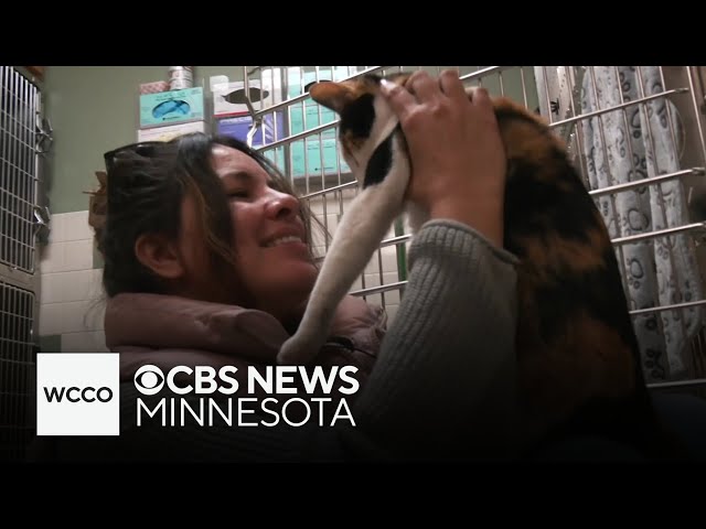 Pets, owners reunited as Los Angeles wildfires continue to rage