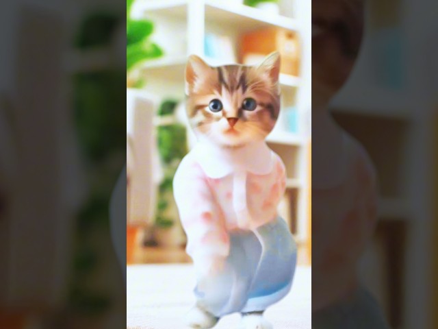 Cute Cat Dance😽 #cutecat #funnycats #catdance