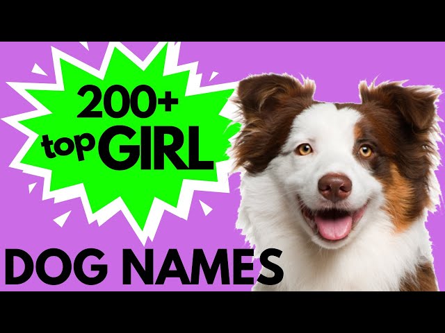 Top 200 Unique FEMALE Dog Names – Girl Dog Names