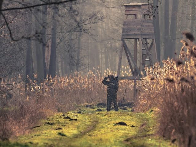 Fotografia Przyrodnicza ( Nieudana wyprawa)Nowe miejsce.