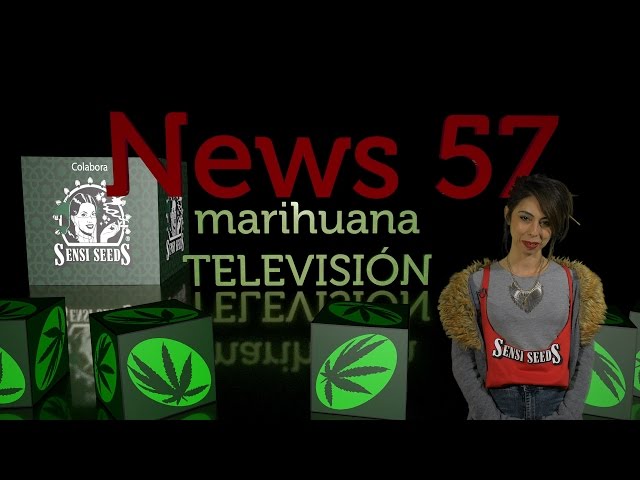 CANNABIS EN EL CONGRESO, HEAVENGROWN Cáñamo Industrial MEXICO en NEWS 57