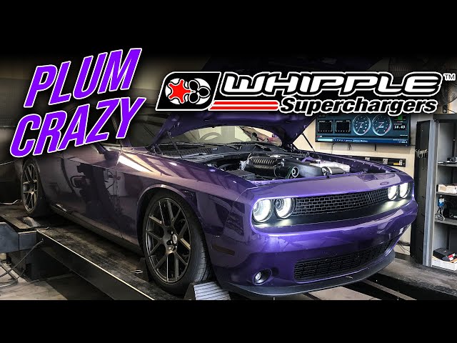 Whipple Supercharged PCP Challenger Makes POWER