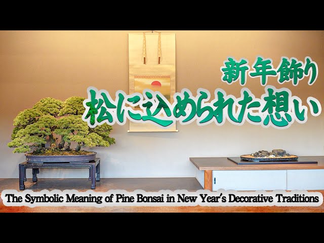 The Significance of Pine in New Year Decorations: Exploring the Heart of Japan’s Connection to Pine