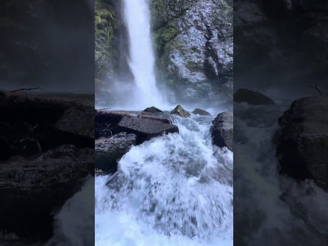 @TrinaMason waterfall in the rainforest Pacific Northwest September 19 2024 2:03pm Acme Washington