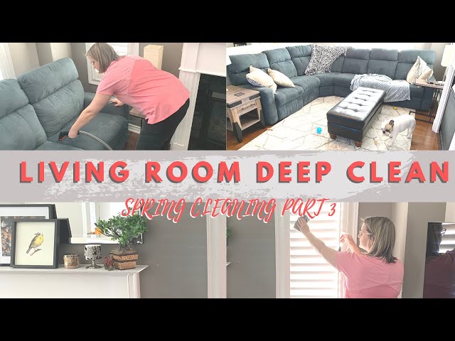 SPRING CLEANING 2020 PART 3 | LIVING ROOM CLEANING | AREA RUG CLEANING | SATISFYING CLEANING VIDEO