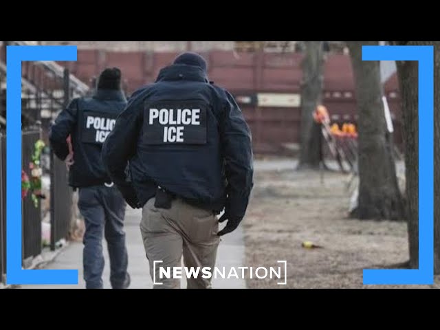 Is the DOJ’s sanctuary city lawsuit against Illinois, Chicago justified? | NewsNation Live