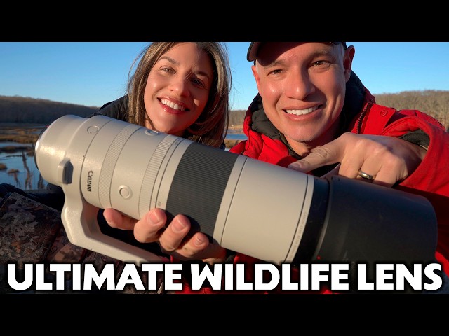 Why Canon 200-800 is the BEST lens for WILDLIFE Photography