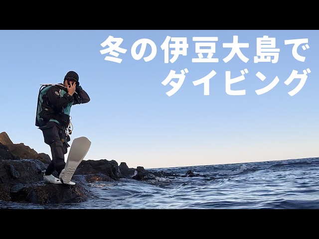 Diving Vlog in Winter at Izu Oshima