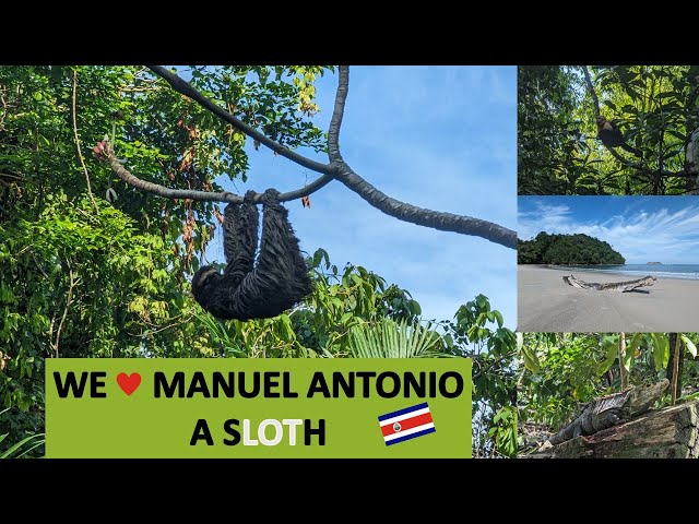 Manuel Antonio Travel Vlog | Sloths, Monkeys, Lizards and More!