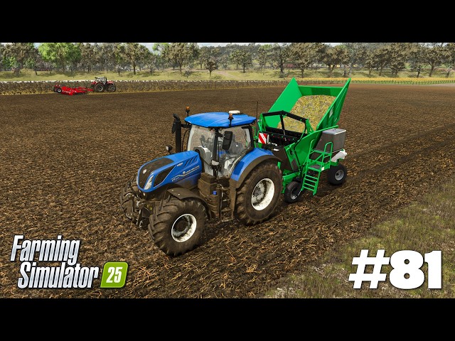 Sadzenie trzciny cukrowej - Farming Simulator 25 | #81