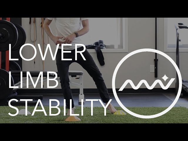 Knee Pain? Hip Pain? Foot Pain?! / Lower Limb Stability Exercise