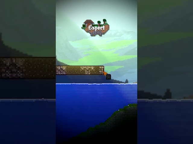 Beginner vs Expert | Terraria Bridge