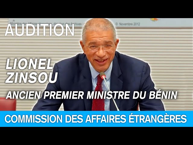 Politique africaine de la France : audition de Lionel Zinsou, ancien premier ministre du Bénin